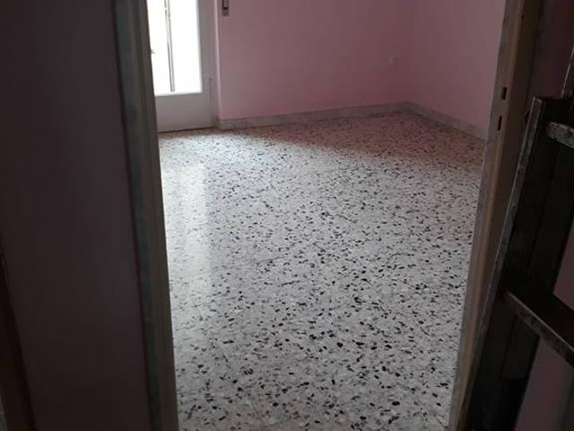 Affitto Appartamento, CORATO