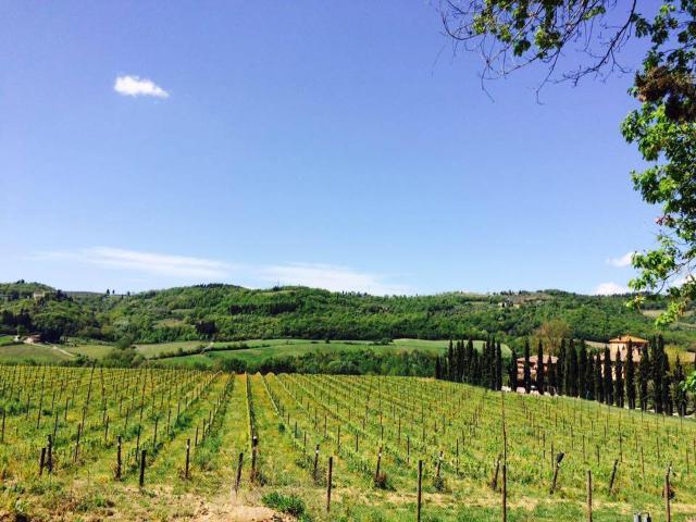 Affitto Appartamento, in zona BARGINO, SAN CASCIANO IN VAL DI PESA