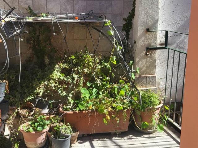 Affitto Appartamento, in zona BOCCACCIO, MILANO
