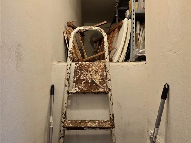 Affitto Appartamento, in zona LUNGARNO DEL PIGNONE, FIRENZE