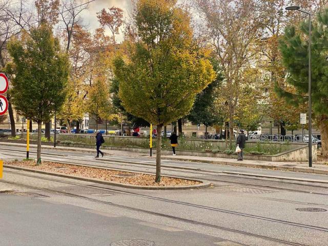 Affitto Appartamento, in zona STATUTO, FIRENZE
