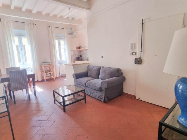 Affitto Appartamento, in zona SANTO SPIRITO, FIRENZE