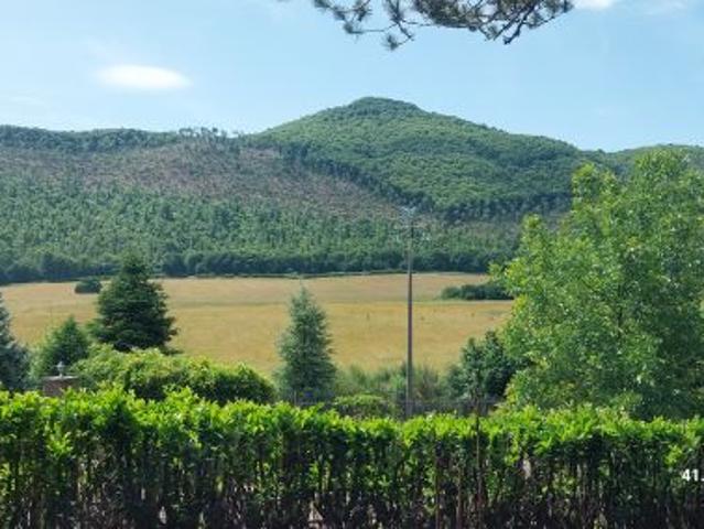 Affitto Terreno