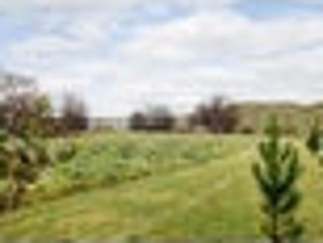 Affordable bare land section