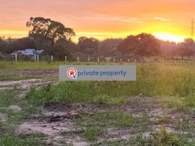 Affordable Beach Plots