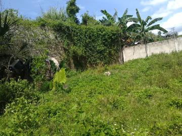 Affordable Discounted Titled Overlooking Seaview Farm Lot For Sale By Owner in Medellin Cebu [Lots ] April 2025 in Medellin, Cebu for sale | Clean Title | FSBO / For Sale by Owner | Discounted / Promo