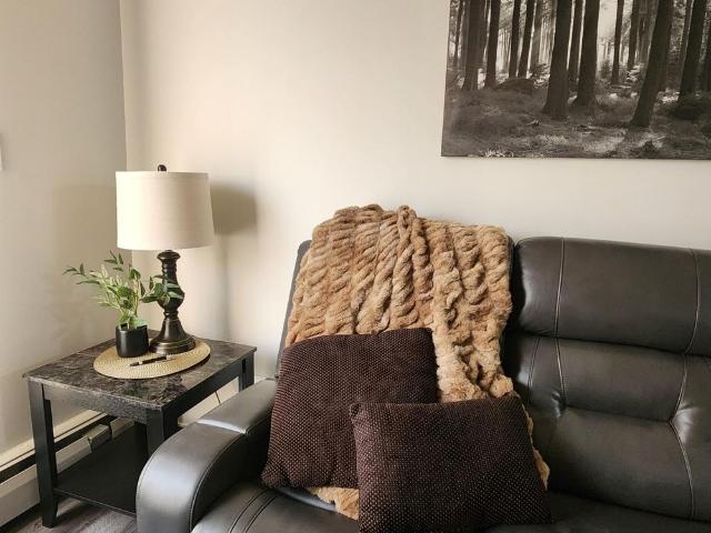 Affordable, Fully Furnished 1 Bedroom | All Inclusive | Great Red Deer Location