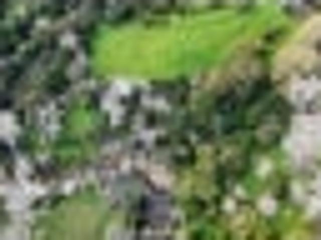 Affordable Investment Opportunity 1.34 Hectares