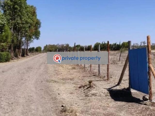 Affordable Land In Nanyuki