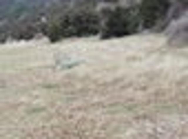Affordable lifestyle Opportunity 5.4334 ha