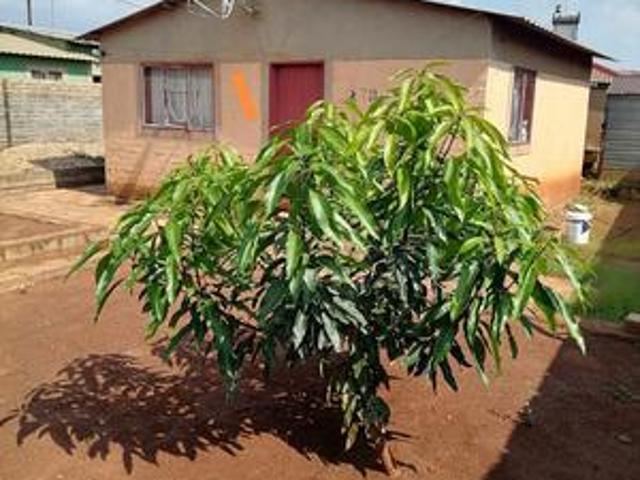 affordable rdp house on the market i.