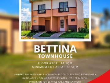 Affordable Two Storey Townhouse in CamSur!
