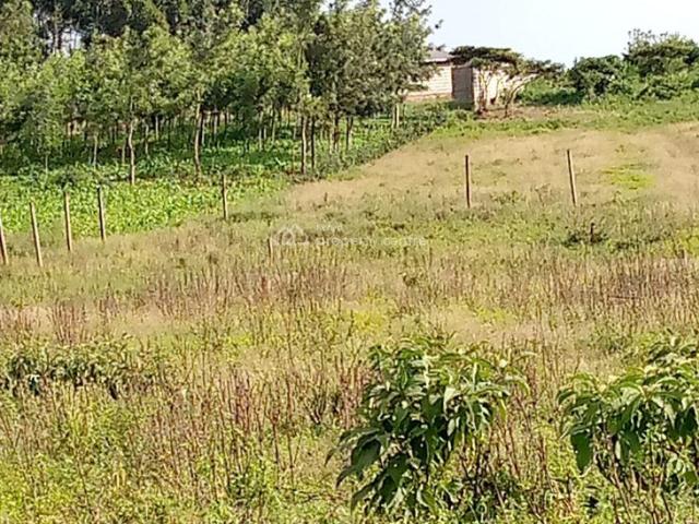 For Sale: Affordable 50x100 1/8 Acre Prime Plots, Ndogo Area, Thigio, Kikuyu, Kiambu Ref: 50191 Kenya Property Centre KPC