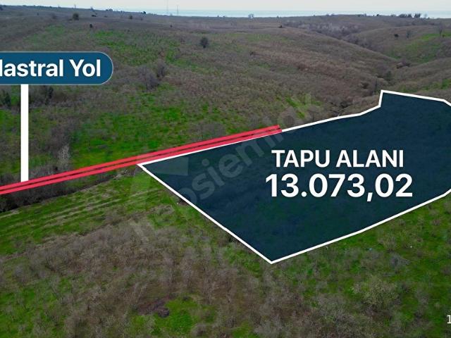 Akçakoca Nazımbey'de Denize Yakın 13.000 M2 Satılık Fındıklık