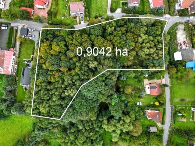 Akacjowa 9 041 m², Gaj
