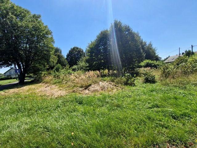 Akacjowa 1 004 m², Orzesze