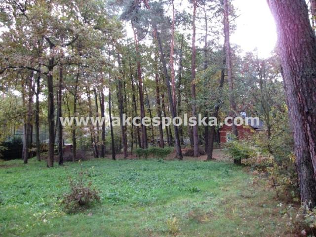 Akacjowa 1 600 m², Zalesie Górne