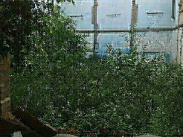 Akal Property Advisor 150 Sq. Yd. Plot in Pakhowal Road Ludhiana Listing ID #8806