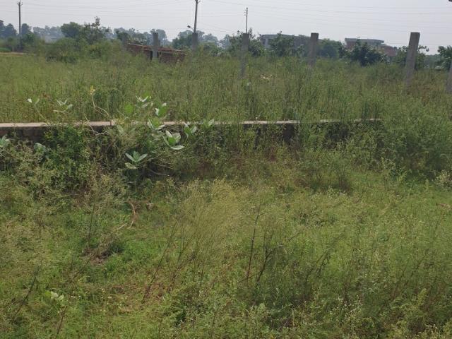 Akal Property Advisor 250 Sq. Yd. Plot in Model Gram Ludhiana Listing ID #8900