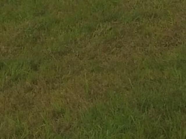 Akal Property Advisor 320 Sq. Yd. Plot in Model Gram Ludhiana Listing ID: #10131