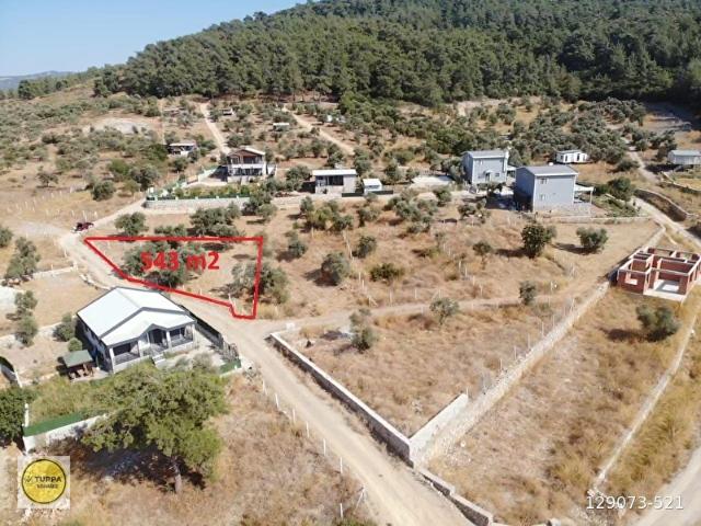 ÇAKALTEPEELEKTRİKSU AKTİF543 m2TAPUDAN SATIŞLI ZEYTİNL BAHÇE