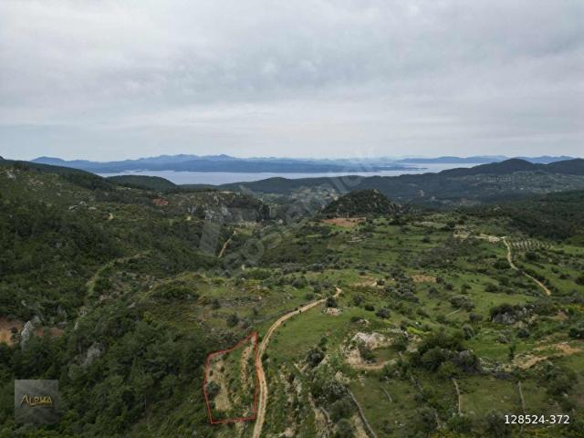 AKBÜK SAHİLE VE ÖREN'E YAKIN ZEYTİNKÖYDE 923m2 TARLA