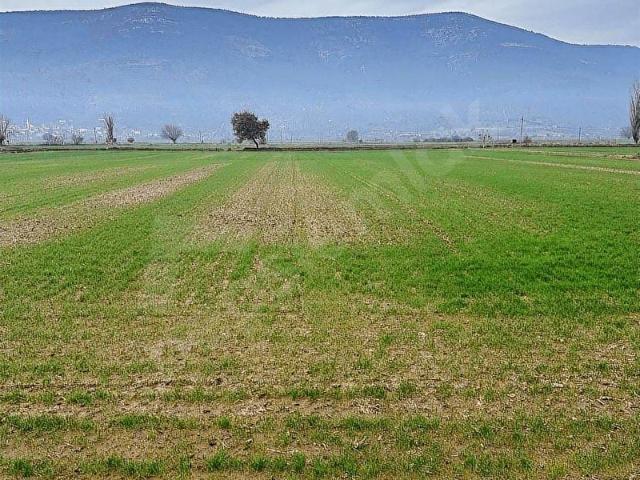AKBAŞLAR'DAN KIYIKIŞLACIĞA 20 dk MESAFEDE YOLA SIFIR TARLA