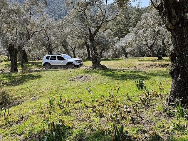 AKBAŞLAR'DAN MİLAS KAFACA'DA 10.000 m2 OTOMOBİLLE ERİŞİM İMKANLI