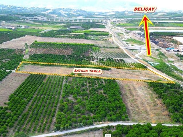 AKDAM'DA DELİÇAYA SIFIR, OTOBANA YAKIN 11.065 M2 MÜSTAKİL TARLA