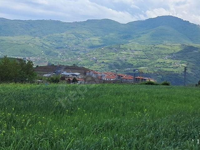 AKGÜN KURUMSALDAN KAT KARŞILIĞI ARSA SAMSUN İLKADIM KAVACIK