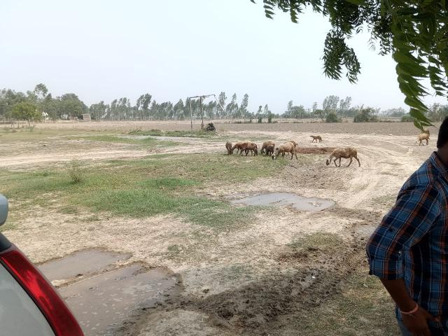AKH Parth Square 90 Sq. Yd. Plot in Kulesara Greater Noida Listing ID: #9190