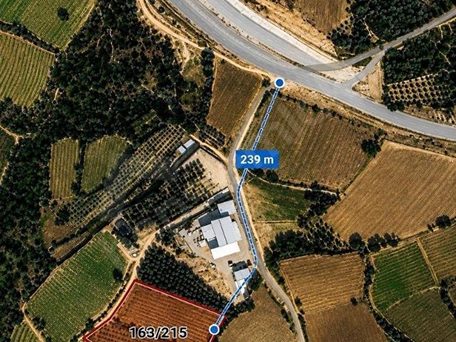 AKKOÇ EMLAKTAN TARSUS'A 10 DAK. ULAŞTA SATILIK BAHÇE VE ZEYTİNLK