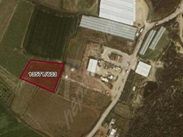 AKSU YURTPINAR 731 M2 FIRSAT TARLA