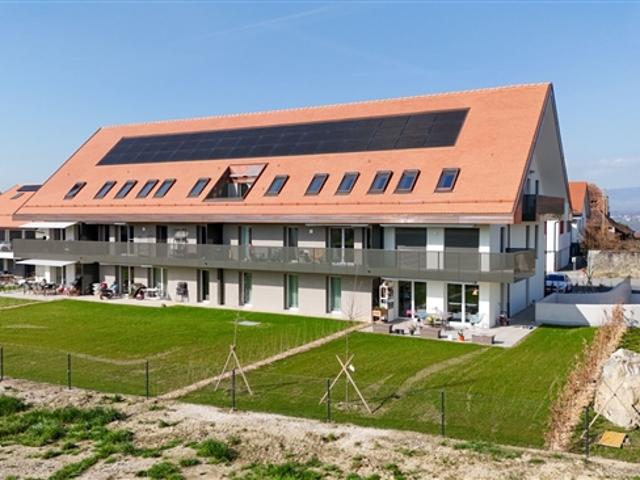 Aktivitätsfläche von 29 m²