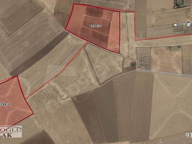 AKYURT KALABA'DA 781m2 SATILIK HİSSE TARLA