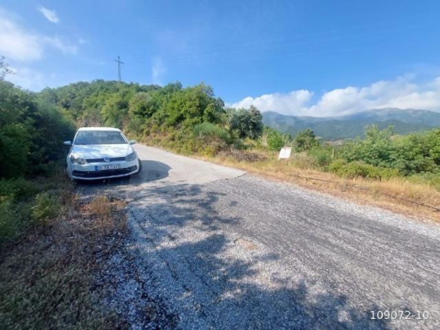 AKYOL' dan Yola Sıfır Bahçe