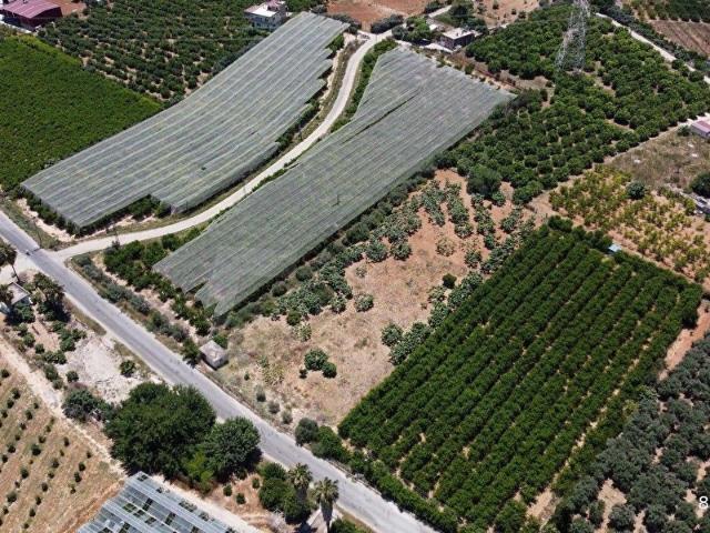 ŞAHMERAN'DAN BAĞLARBAŞI MAH. 5000 m SATILIK İNCİR BAHÇESİ