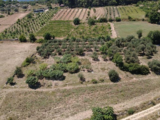 ŞAHMERAN'DAN TARSUS ÇAVDARLI KÖYÜNDE 1.725 m2 SATILIK BAHÇE