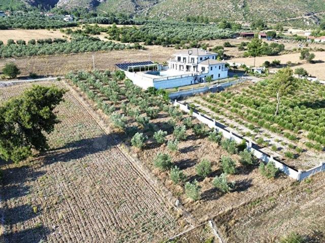 AHMET COŞKUN GAYRİMENKULDEN ZEYTİNALANINDA 2.200M2 GÖL MANZARALI