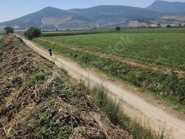 Ahmetli'de Tek Tapu Satılık 6.299 m Yola Yakın Verimli Tarla