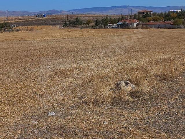Ahibozda satılık 300 metre çevrili hobi bahçesi
