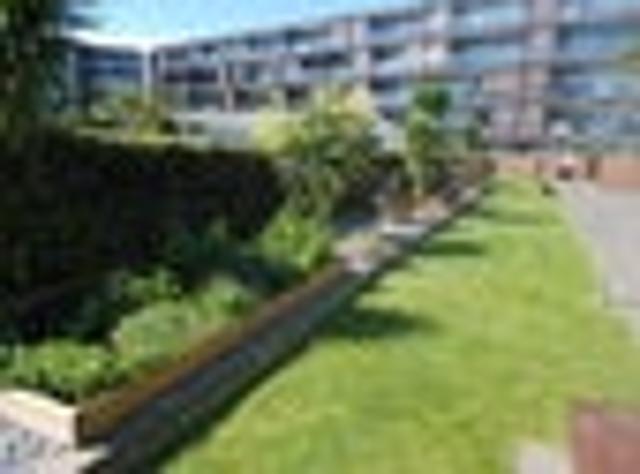 Ahuriri, 2 bedrooms, $799 pw
