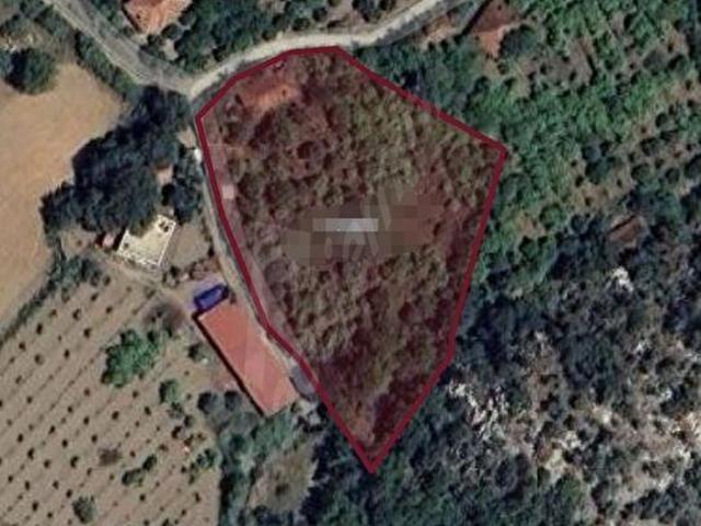 AİRPORT EMLAK KÖYCEĞİZ ÇANDIRDA EV TAPULU 4965 M2 SATILIK TARLA