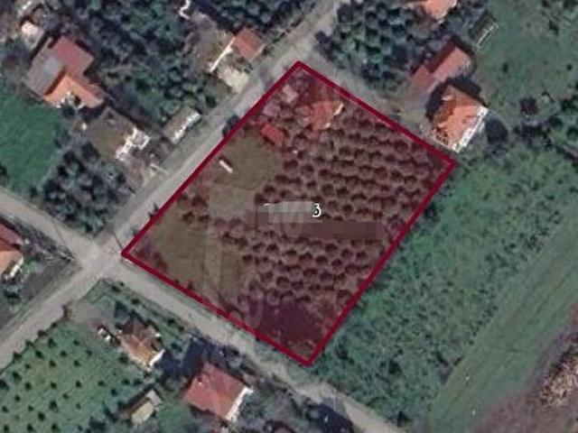 AİRPORT EMLAK'TAN KÖYCEĞİZ TOPARLAR MAH.557 M2 SATILIK ARSA