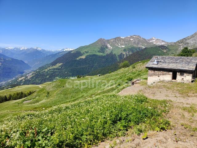 Aime Vente Chalet 73