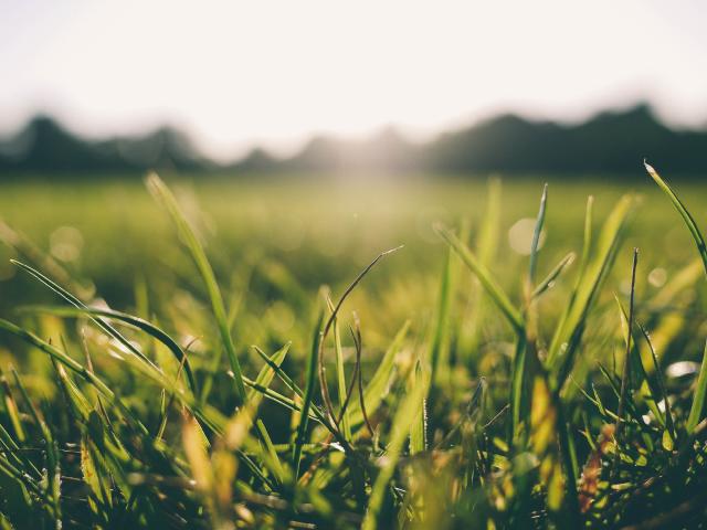 AIGNER Baugrundstück in Starnberg Potenzial für 14 Geschosswohnungen mit Vorbescheid