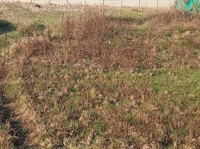Aiims City 1200 Sq.Ft. Plot in Patrapada Bhubaneswar Listing ID: #9920