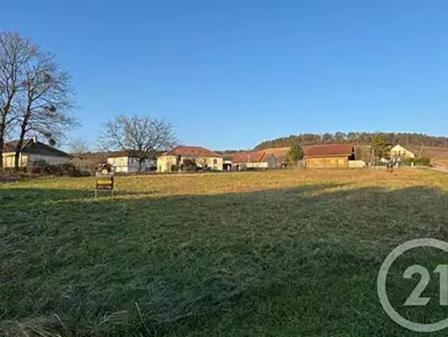 Ailleville 10200 Achat / Vente terrain