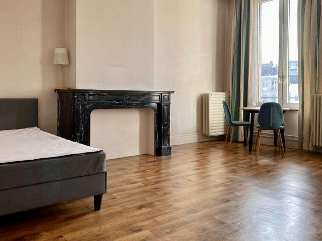 Airy room for rent in 3 bedroom apartment in Ixelles
