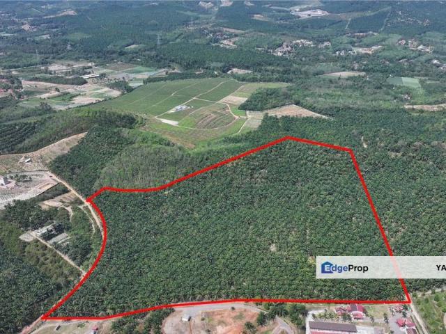 Air Paa'bas, Alor Gajah 30 Acres Freehold Palm Oil Agriculture Land For Sale 出售阿依巴阿峇斯 亚罗牙也 30英亩永久地契棕油农业地